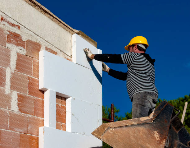 Best Local Insulation Services  in Holdrege, NE