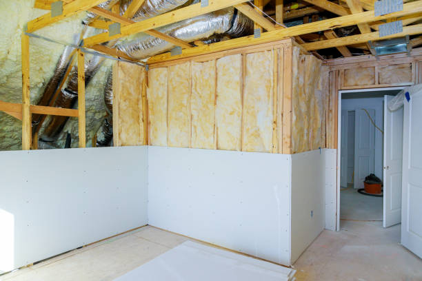 Best Insulation Removal  in Holdrege, NE