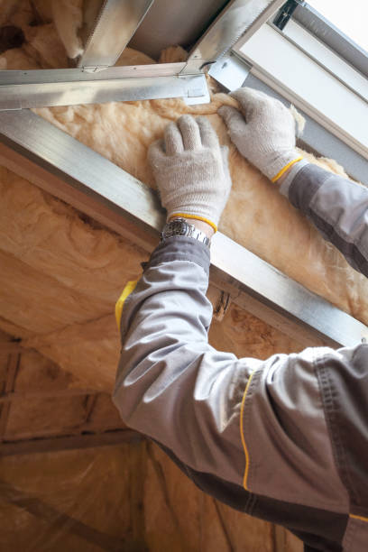 Best Wall Insulation Contractor  in Holdrege, NE