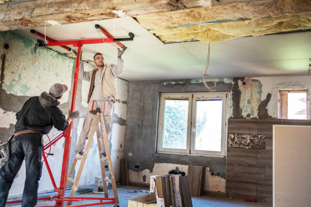 Best Insulation Contractor Near Me  in Holdrege, NE