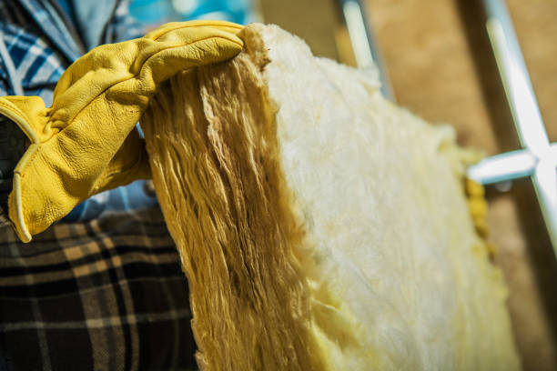 Best Affordable Insulation Services  in Holdrege, NE