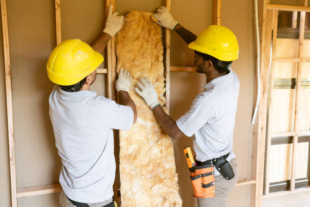 Best Insulation for New Construction  in Holdrege, NE
