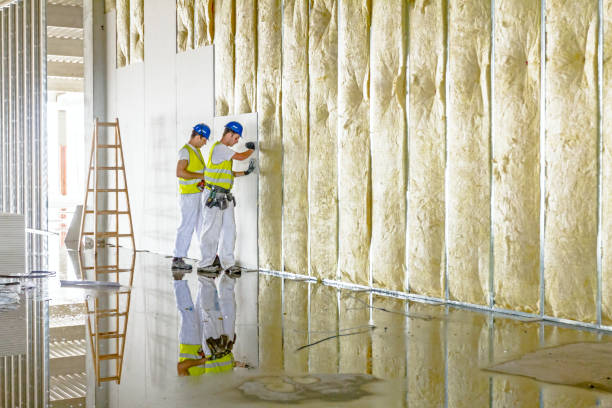 Best Commercial Insulation Contractor  in Holdrege, NE
